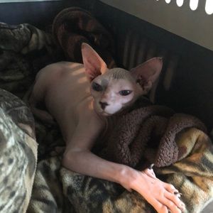 Meet your Posher, Eddy